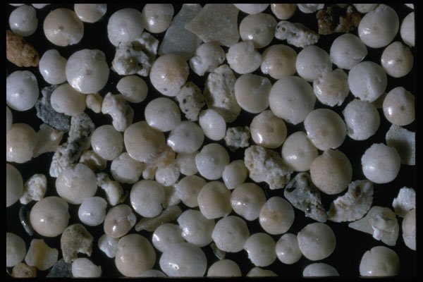 390026 Forams, Pernera, Cyprus A4 Photo Print