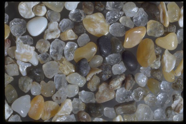 390034 Simpson Pt., Arago Sand A4 Photo Print