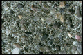 390047 Carate Osa Pensular, Costa Rica A4 Photo Print