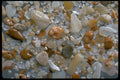 390048 Collardy, Australia A4 Photo Print