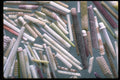 390055 Sea Urchin Spines A4 Photo Print
