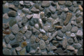 390069 Agate Beach, Bolinas A4 Photo Print