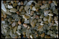 390088 Desert Isle, Arcadia, N.P., Maine A4 Photo Print