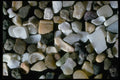 390090 Tindalls, Whangaporaoa, N.I., N.Z. A4 Photo Print