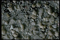 390094 Rora Tonga, Cook Isles A4 Photo Print