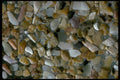 390099 Piha, N.I., New Zealand A4 Photo Print