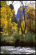 392000 Virgin River And Fall Leaves A4 Photo Print