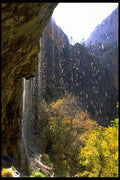 392003 Weeping Rock A4 Photo Print