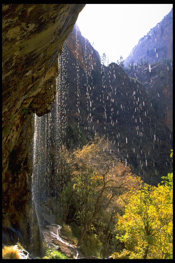 392003 Weeping Rock A4 Photo Print