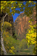 392008 Head Of Zion Canyon A4 Photo Print
