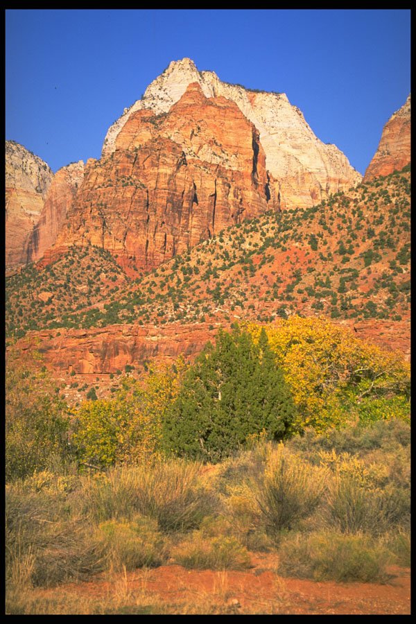 392009 Majestic Zion A4 Photo Print
