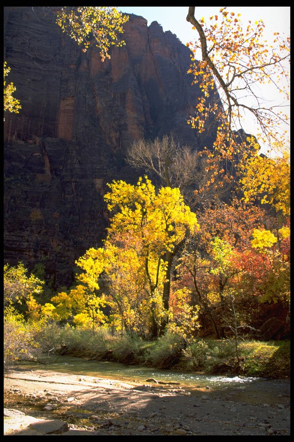 392010 Fall Scene A4 Photo Print