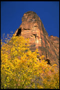 392018 Cathedral Mountains A4 Photo Print