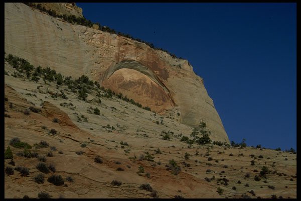 392021 Embryo Arch A4 Photo Print