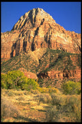 392024 Entrance Guardian A4 Photo Print