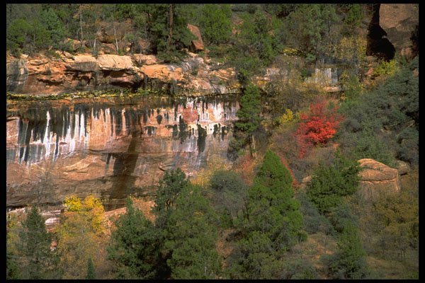 392027 Rocks, Water And Foliage A4 Photo Print