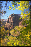 392032 Nature's Majesty A4 Photo Print