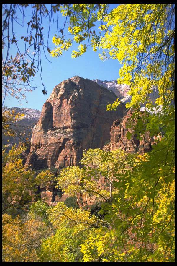 392032 Nature's Majesty A4 Photo Print