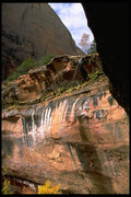 392041 Watermarks A4 Photo Print