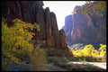 392043 At Canyon Head A4 Photo Print