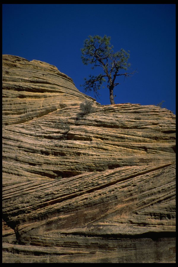 392050 Precarious Foothold A4 Photo Print