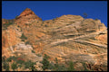 392058 Juniper And Cross bedded Sandstone A4 Photo Print
