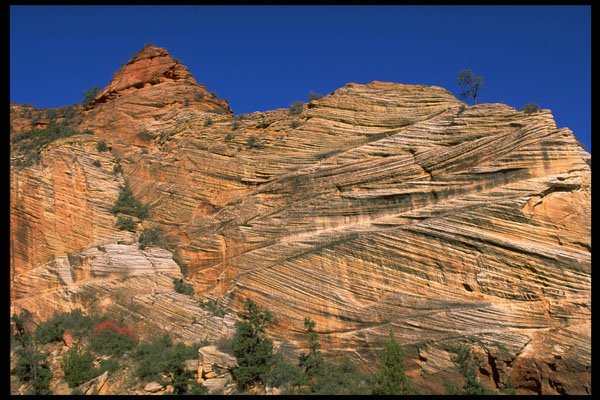 392058 Juniper And Cross bedded Sandstone A4 Photo Print
