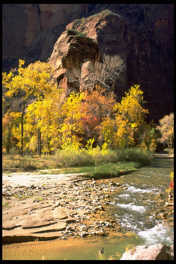 392059 Refrigerator Canyon A4 Photo Print