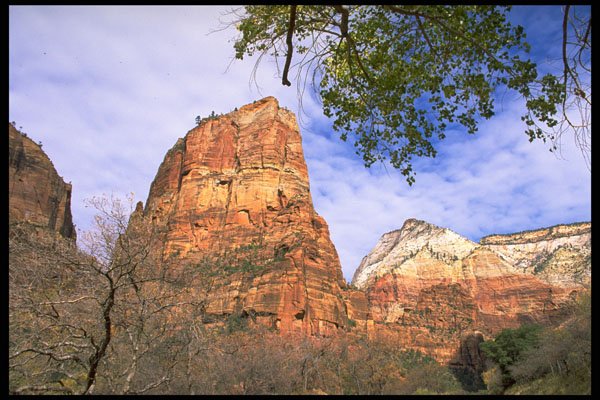 392063 Mount Majestic A4 Photo Print