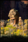 392076 Solitary Pulpit A4 Photo Print