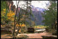 392078 Middle Emerald Lake A4 Photo Print