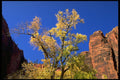 392081 Fall's End A4 Photo Print