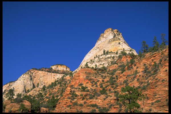 392083 The Patriarchs A4 Photo Print