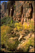 392085 Sheer Face A4 Photo Print