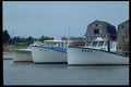 393006 Covehead Harbor A4 Photo Print