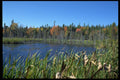 393007 Marshland Launching A4 Photo Print