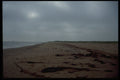393008 Royalty Point Beach A4 Photo Print