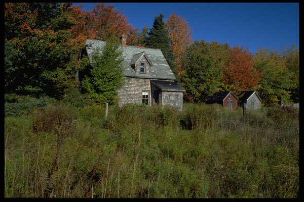 393019 Mount Pleasant House A4 Photo Print