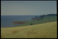 393020 Ocean View, Rocky Point A4 Photo Print