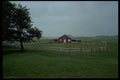 393026 Horse Farm, Cape Tyron A4 Photo Print