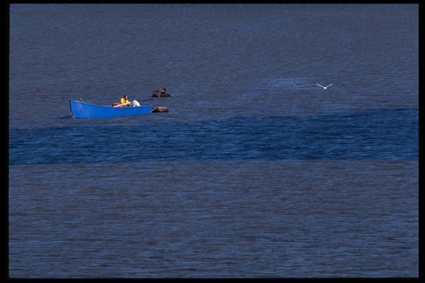 393027 Lone Fisherman, Darnley Basin A4 Photo Print