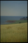 393039 Ocean View, Rocky Point A4 Photo Print