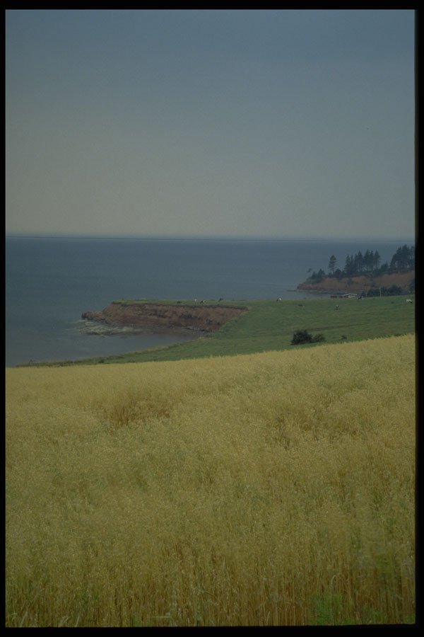 393039 Ocean View, Rocky Point A4 Photo Print