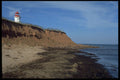 393050 Panmure Island Lighthouse A4 Photo Print