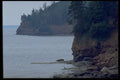 393051 Holland Cove, Rocks And Heron A4 Photo Print