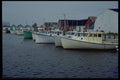 393052 Malpeque Harbor, Darnley Basin A4 Photo Print