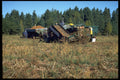 393053 Potato Harvesting, Foxley River A4 Photo Print