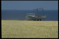 393054 Boat In Field, North Cape A4 Photo Print