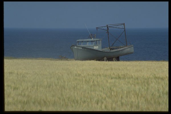 393054 Boat In Field, North Cape A4 Photo Print