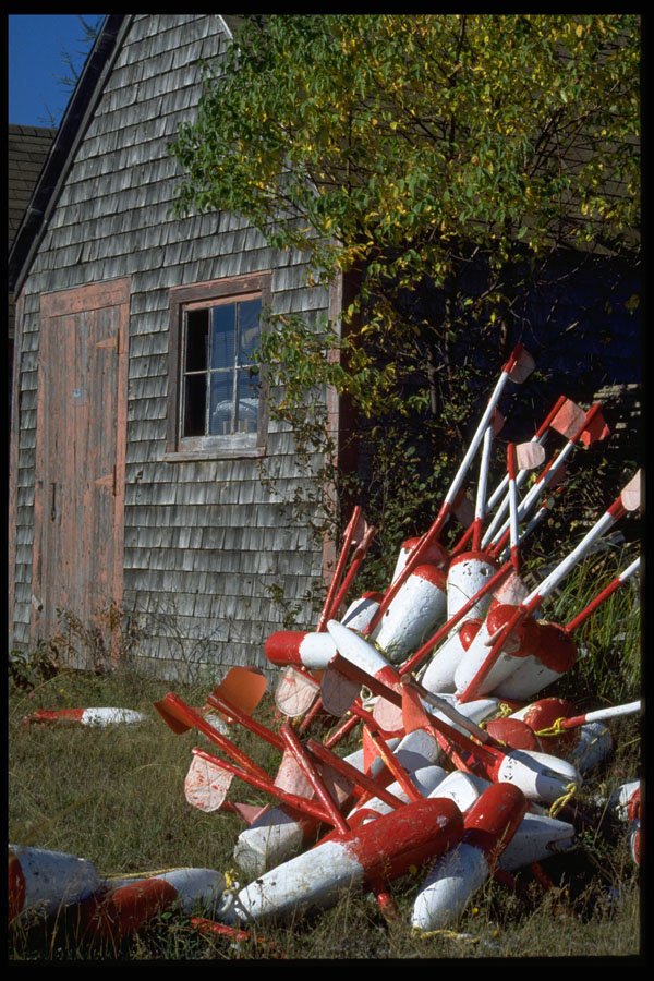 393055 Red And White Marker Buoys A4 Photo Print